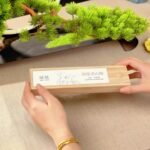 Natural Artisan Incense Sticks in Eco-Friendly 40g Wooden Box – Relaxation, Focus & Aromatic Bliss